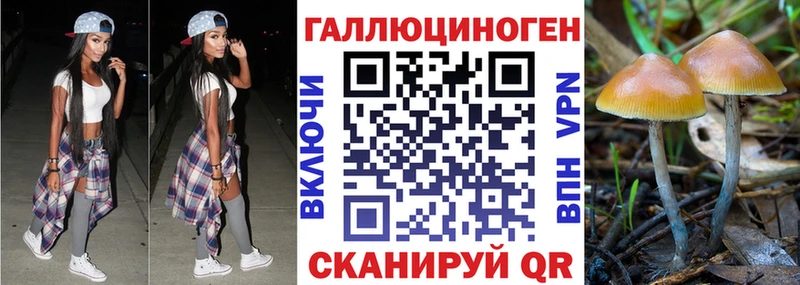 Псилоцибиновые грибы прущие грибы  Купить где  Нестеров 